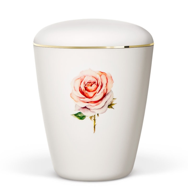 Naturstoffurne, Weiß-Matt, Rose, Goldband