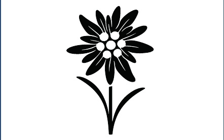 GR-M161-Motiv: Edelwei&szlig;
