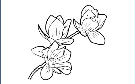 GR-M168-Motiv: Magnolie