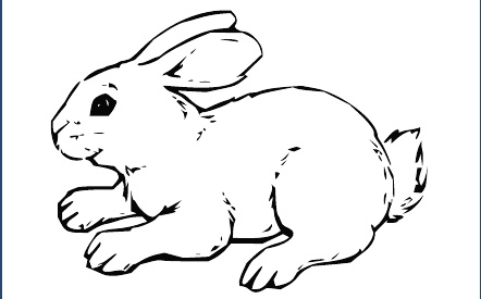 GR-M185-Motiv: Hase