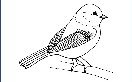 GR-M253-Motiv: Kohlmeise