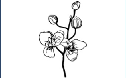 GR-M145-Motiv: Orchidee