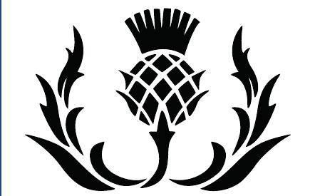 GR-M261-Motiv: Distel