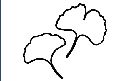 GR-M115-Motiv: Ginko-Blatt
