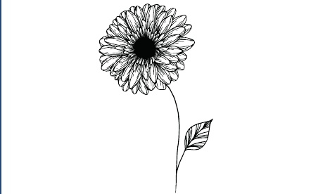 GR-M263-Motiv: Gerbera