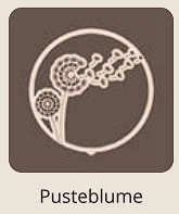 Pusteblume