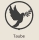 Taube